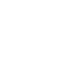 STUDENT COUNCIL STRUCTURE